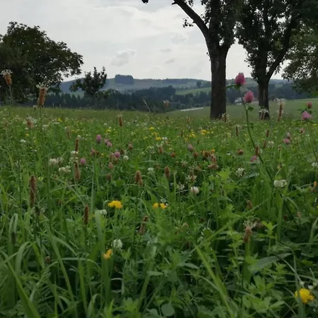 In With Terrace, Cleaning Included * Altenfeld (Thuringia)